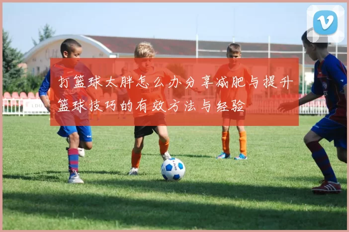 打篮球太胖怎么办分享减肥与提升篮球技巧的有效方法与经验