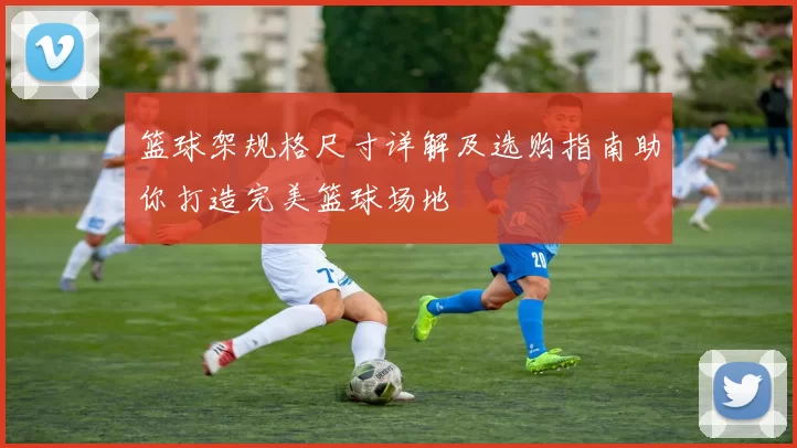 篮球架规格尺寸详解及选购指南助你打造完美篮球场地