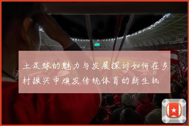 土足球的魅力与发展探讨如何在乡村振兴中焕发传统体育的新生机